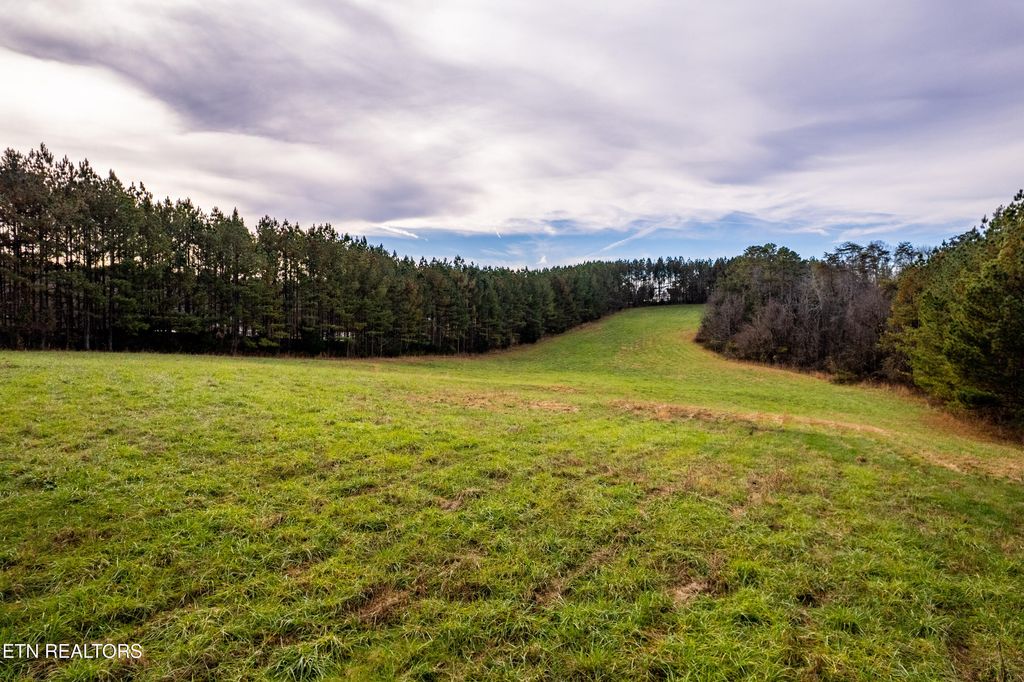 Photo of Windy J Farms Drive, Louisville, TN 37777 (MLS # 1323516)