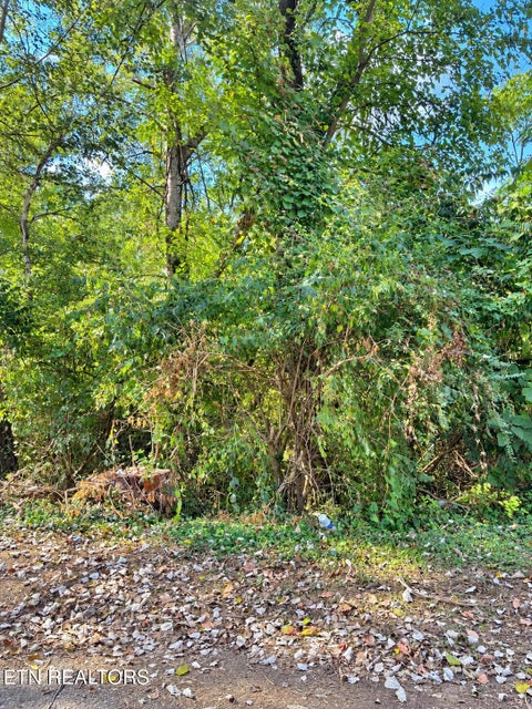 Tiny photo for 0 Maryland Ave, Knoxville, TN 37921 (MLS # 1356156)