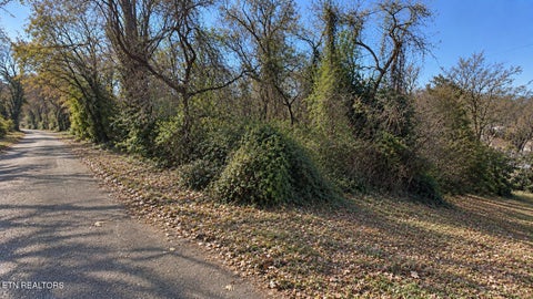 Photo of 0 Maryland Ave, Knoxville, TN 37921 (MLS # 1356156)