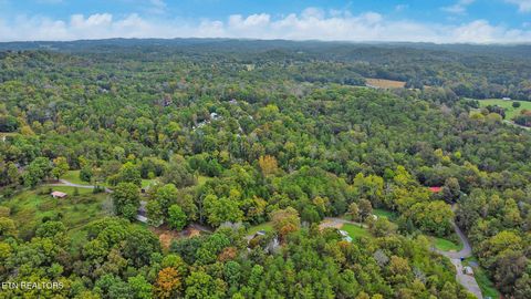 Tiny photo for 1771 Richard Lane, Knoxville, TN 37914 (MLS # 1325945)