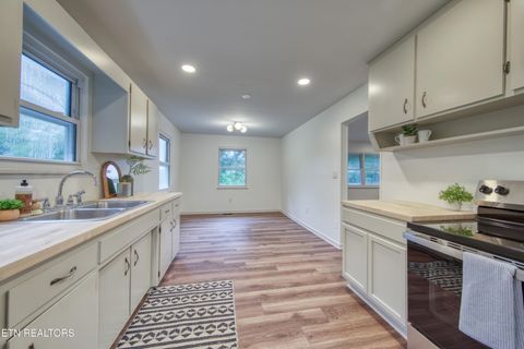 Tiny photo for 150 Dewey Davis Rd, Walland, TN 37886 (MLS # 1349535)