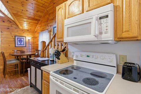 Tiny photo for 423 Big Bear Way, Pigeon Forge, TN 37863 (MLS # 1331157)