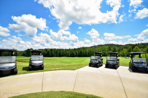 Tiny photo for 115 Hackberry St, Oak Ridge, TN 37830 (MLS # 1350020)