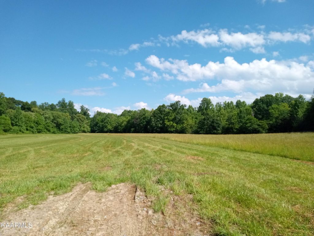 Photo of Cold Springs Rd, Walland, TN 37886 (MLS # 1228659)