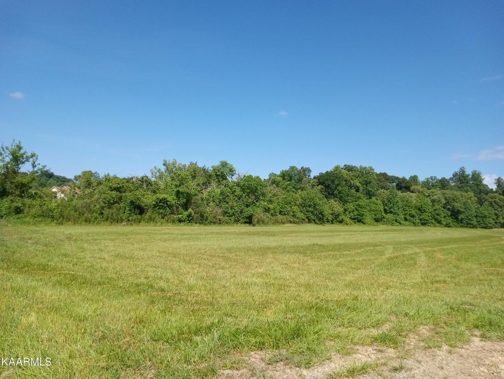 Photo of Cold Springs Rd, Walland, TN 37886 (MLS # 1228659)