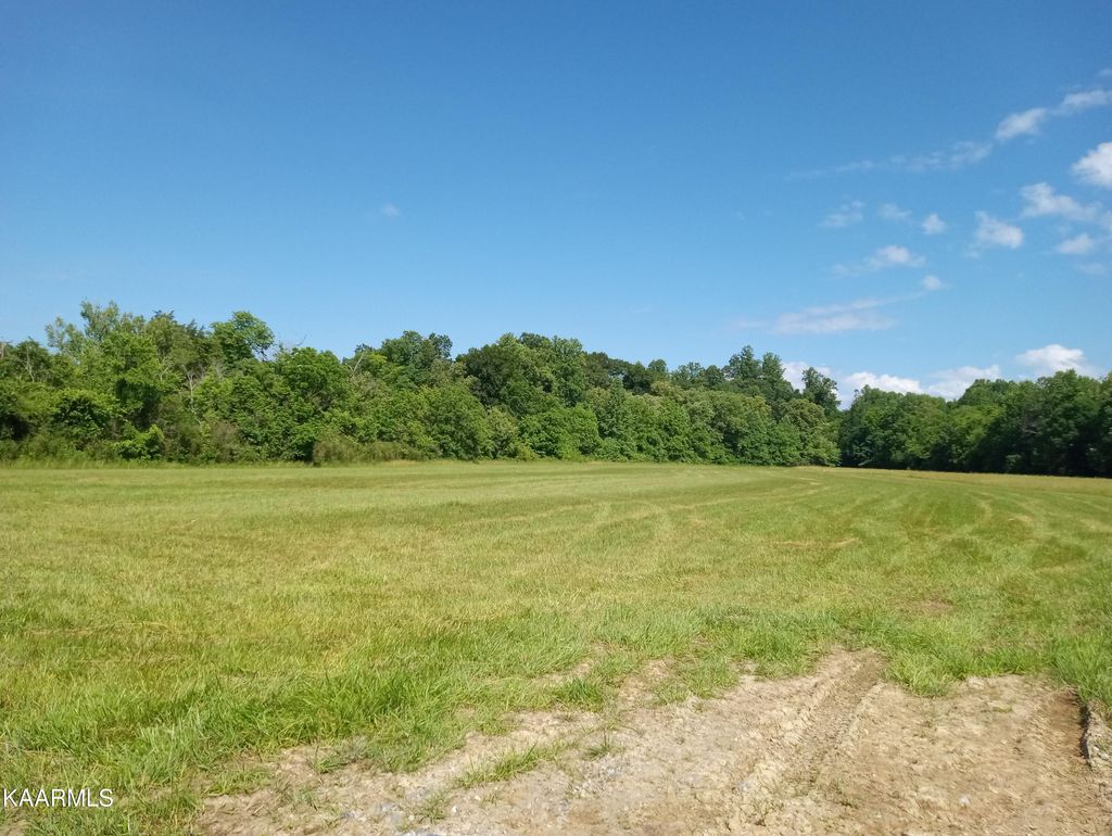 Photo of Cold Springs Rd, Walland, TN 37886 (MLS # 1228659)