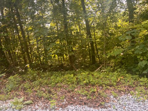 Tiny photo for 0 Kenny Fox Way, Sevierville, TN 37876 (MLS # 1347959)