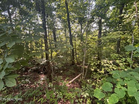 Tiny photo for 0 Kenny Fox Way, Sevierville, TN 37876 (MLS # 1347959)