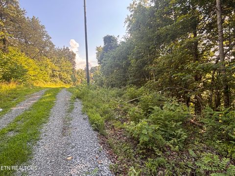 Tiny photo for 0 Kenny Fox Way, Sevierville, TN 37876 (MLS # 1347959)
