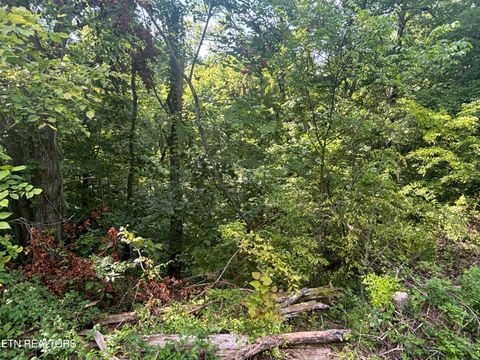 Tiny photo for 0 Kenny Fox Way, Sevierville, TN 37876 (MLS # 1347959)