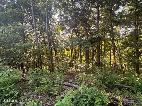Tiny photo for 0 Kenny Fox Way, Sevierville, TN 37876 (MLS # 1347959)
