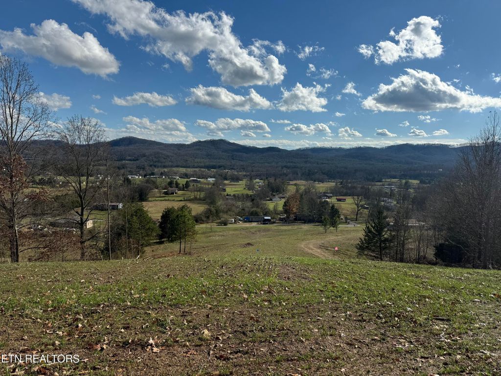 Photo of 431 Smokey Rd, Rutledge, TN 37861 (MLS # 1338340)