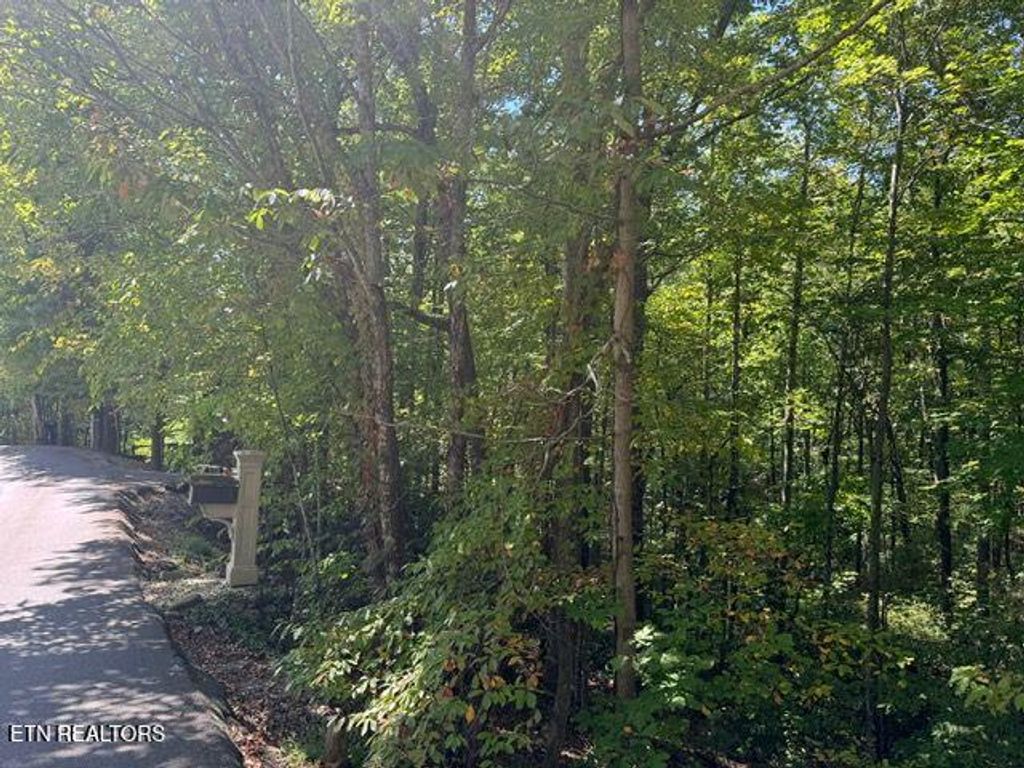 Photo of 17 Deer Path Lane, Gatlinburg, TN 37738 (MLS # 1321525)
