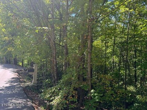 Tiny photo for 17 Deer Path Lane, Gatlinburg, TN 37738 (MLS # 1321525)