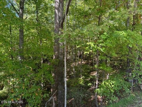 Tiny photo for 17 Deer Path Lane, Gatlinburg, TN 37738 (MLS # 1321525)