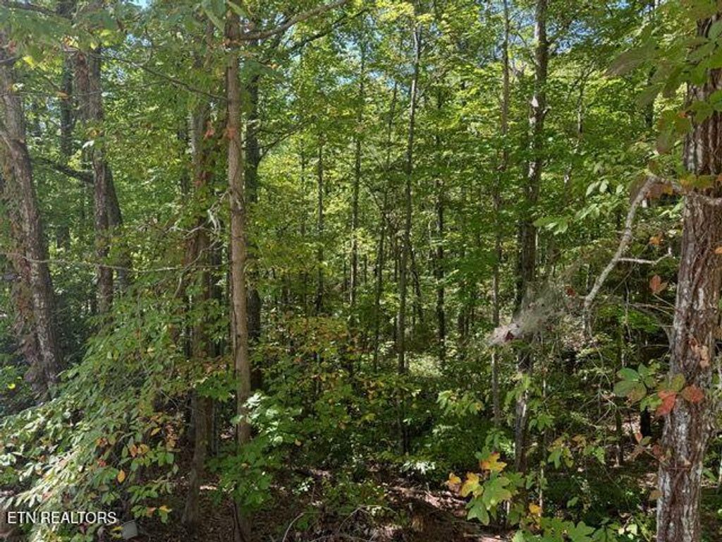 Photo of 17 Deer Path Lane, Gatlinburg, TN 37738 (MLS # 1321525)