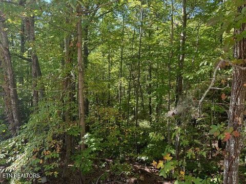 Tiny photo for 17 Deer Path Lane, Gatlinburg, TN 37738 (MLS # 1321525)