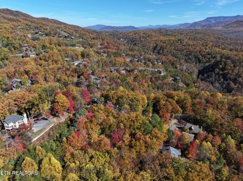 Tiny photo for 17 Deer Path Lane, Gatlinburg, TN 37738 (MLS # 1321525)