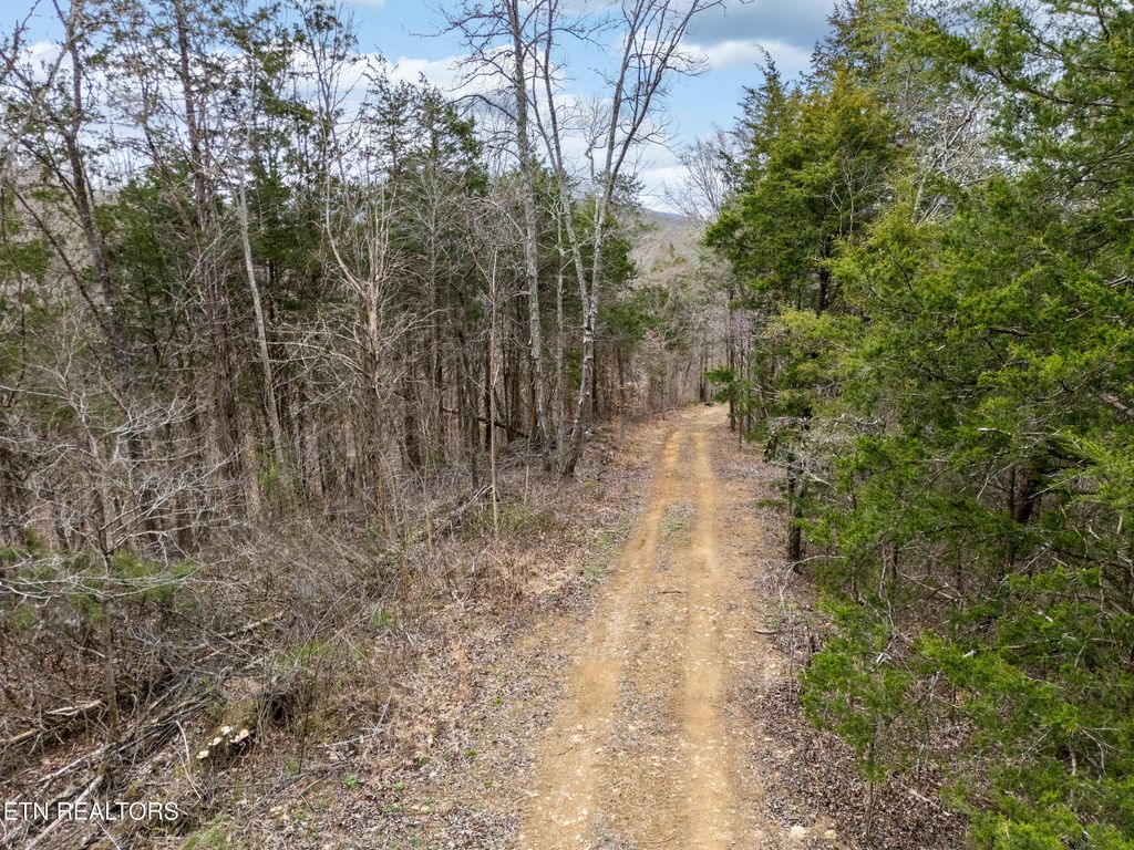 Photo of George Harrison Way, Seymour, TN 37865 (MLS # 1316335)