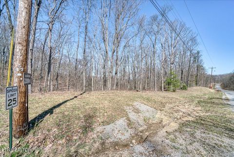 Photo of 734 Renegade Mountain Pkwy, Crab Orchard, TN 37723 (MLS # 1332684)