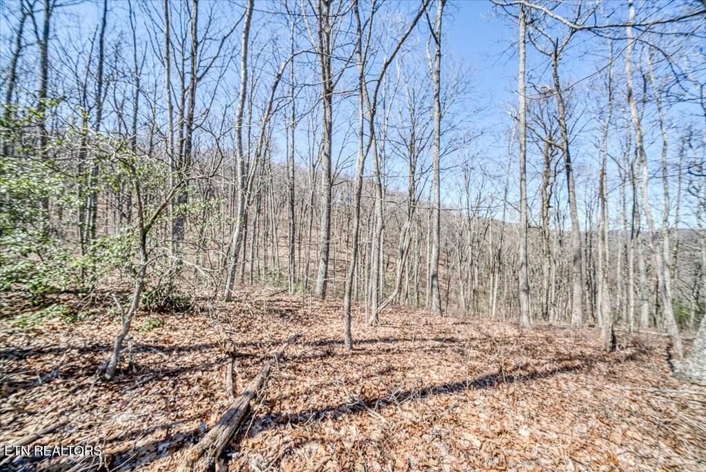 Photo of 734 Renegade Mountain Pkwy, Crab Orchard, TN 37723 (MLS # 1332684)