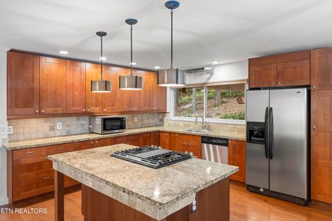 Tiny photo for 4029 Hiawatha Drive, Knoxville, TN 37919 (MLS # 1327888)