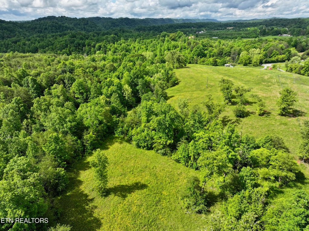 Photo of 270 Saffles Lane, Madisonville, TN 37354 (MLS # 1301039)