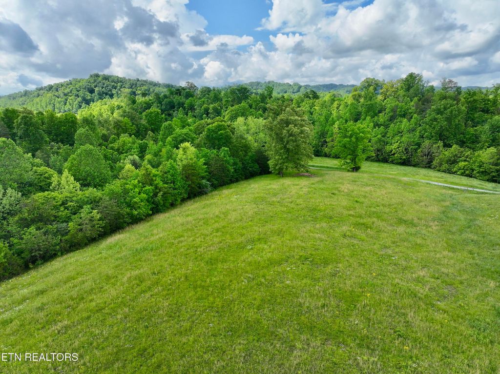 Photo of 270 Saffles Lane, Madisonville, TN 37354 (MLS # 1301039)