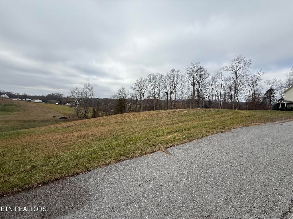 Photo of 15 Oak Point Drive, Jonesville, VA 24263 (MLS # 1323489)