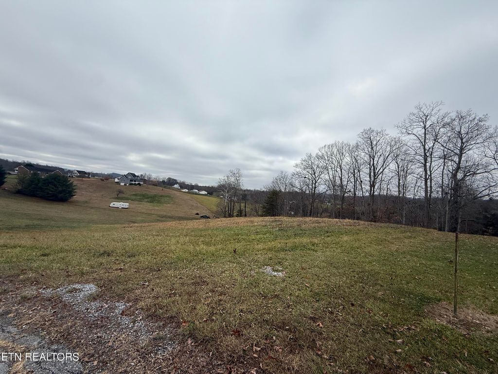Photo of 15 Oak Point Drive, Jonesville, VA 24263 (MLS # 1323489)