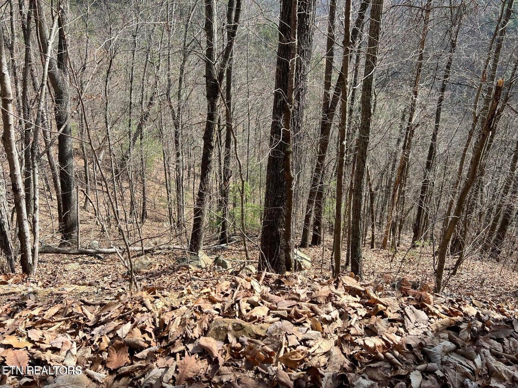 Photo of Aintree Drive #26, Sevierville, TN 37876 (MLS # 1358723)