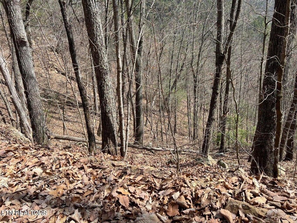 Photo of Aintree Drive #26, Sevierville, TN 37876 (MLS # 1358723)