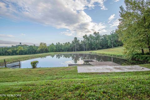 Tiny photo for 410 Bolton Drive Drive, Spring City, TN 37381 (MLS # 1316968)