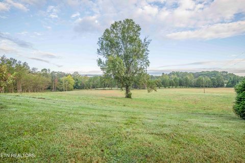 Tiny photo for 410 Bolton Drive Drive, Spring City, TN 37381 (MLS # 1316968)