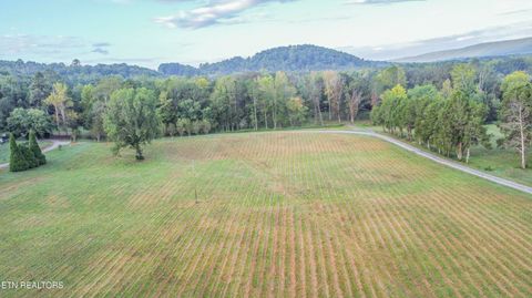 Tiny photo for 410 Bolton Drive Drive, Spring City, TN 37381 (MLS # 1316968)