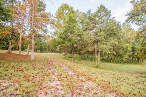 Tiny photo for 410 Bolton Drive Drive, Spring City, TN 37381 (MLS # 1316968)