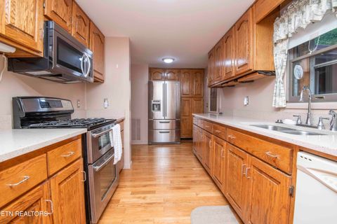 Tiny photo for 410 Bolton Drive Drive, Spring City, TN 37381 (MLS # 1316968)