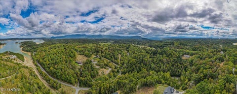 Tiny photo for 220 Pheasant Court, Sevierville, TN 37876 (MLS # 1355475)
