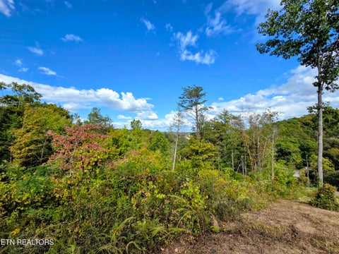 Tiny photo for 220 Pheasant Court, Sevierville, TN 37876 (MLS # 1355475)