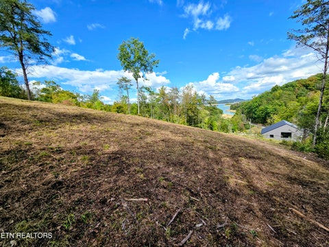 Tiny photo for 220 Pheasant Court, Sevierville, TN 37876 (MLS # 1355475)