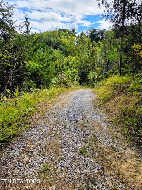 Tiny photo for 220 Pheasant Court, Sevierville, TN 37876 (MLS # 1355475)