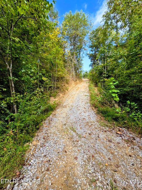 Tiny photo for 220 Pheasant Court, Sevierville, TN 37876 (MLS # 1355475)