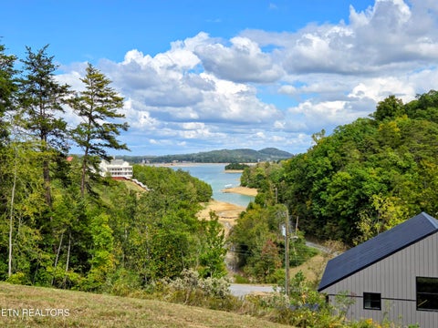 Photo of 220 Pheasant Court, Sevierville, TN 37876 (MLS # 1355475)