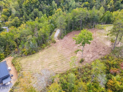 Tiny photo for 220 Pheasant Court, Sevierville, TN 37876 (MLS # 1355475)