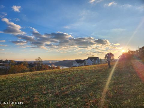 Tiny photo for Lot 26 Sam & Maria Way, LaFollette, TN 37766 (MLS # 1334093)