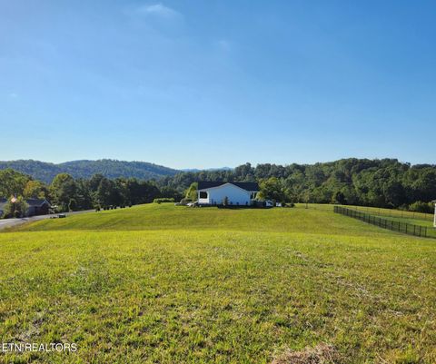 Tiny photo for Lot 26 Sam & Maria Way, LaFollette, TN 37766 (MLS # 1334093)