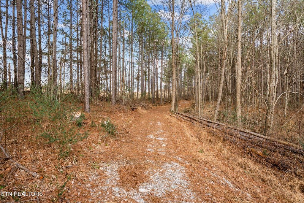 Photo of 185 Mt Vernal Rd, Rockwood, TN 37854 (MLS # 1327085)