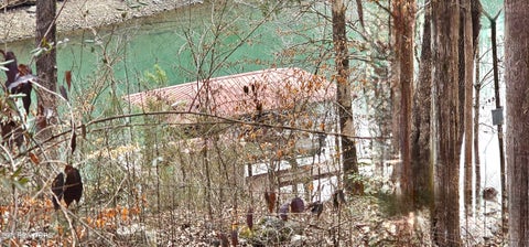 Tiny photo for 102 Curtis Circle, Kingston, TN 37763 (MLS # 1359514)