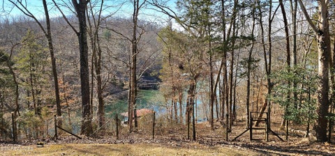 Tiny photo for 102 Curtis Circle, Kingston, TN 37763 (MLS # 1359514)