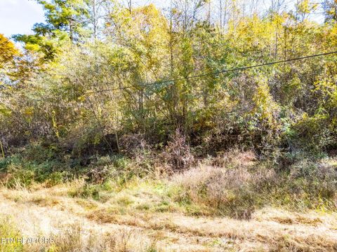 Tiny photo for 1395 Mountain View Rd, Rockwood, TN 37854 (MLS # 1342680)